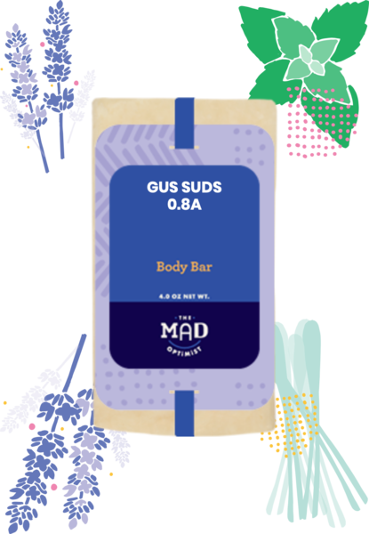 Recipe-739-GUS SUDS 0.8A